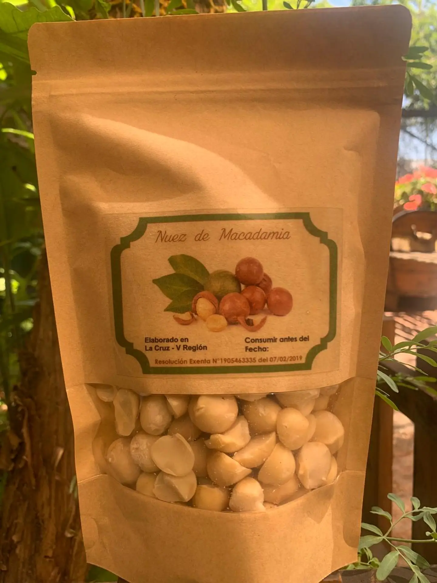 Nuez de Macadamia 250gr 1