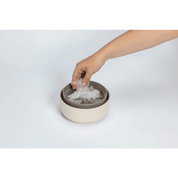 MicroGreens - Germinador de Semillas 3