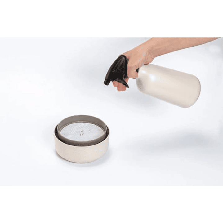 MicroGreens - Germinador de Semillas 4