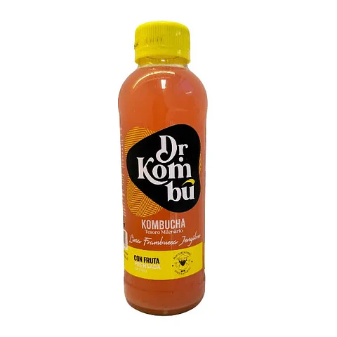 Kombucha Lima Frambuesa y jengibre 475cc Dr Kombu 