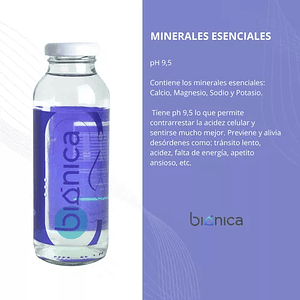 Bionica - Agua Alcalina botella Vidrio 300cc 