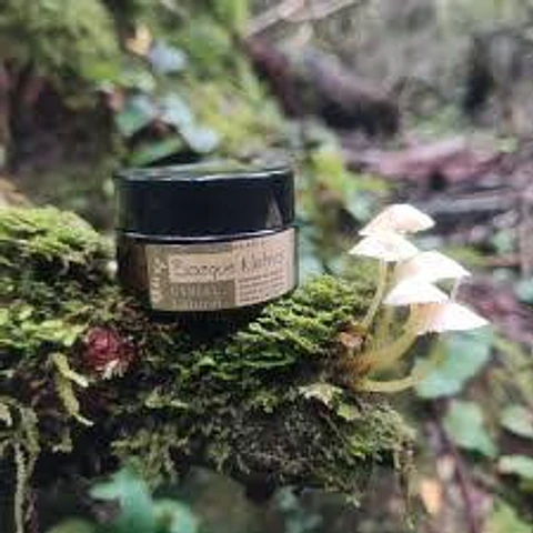 Bosque Nativo - Labial Natural  