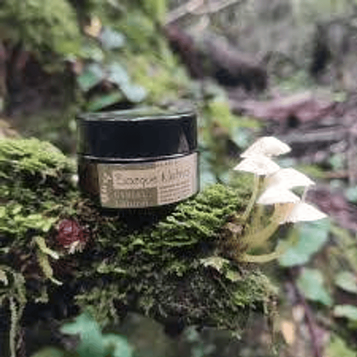 Bosque Nativo - Labial Natural   1