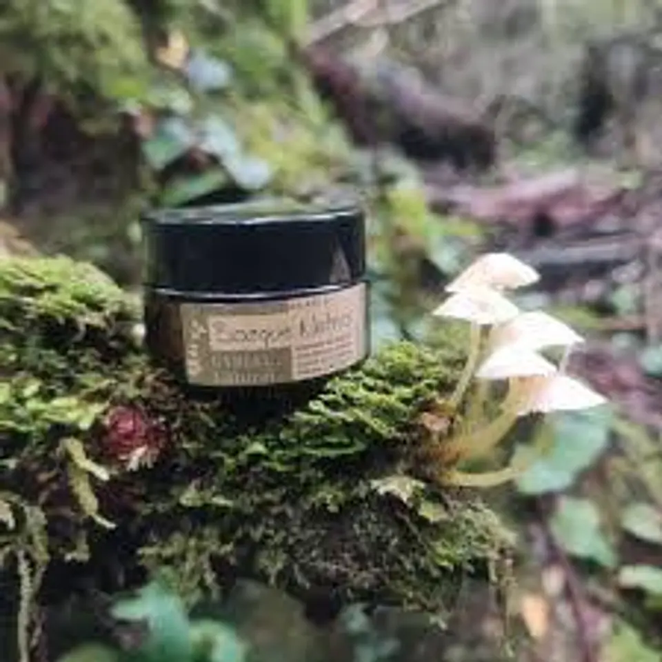 Bosque Nativo - Labial Natural   1