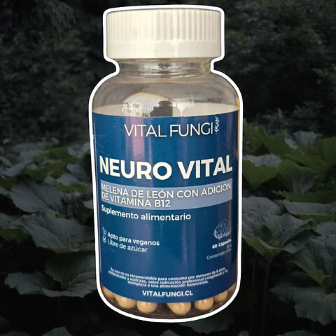 Vital Fungi - Neuro Vital 60c 