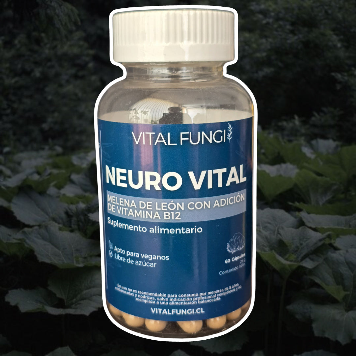 Vital Fungi - Neuro Vital 60c  1