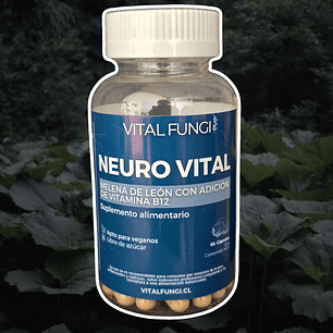 Vital Fungi - Neuro Vital 60c 