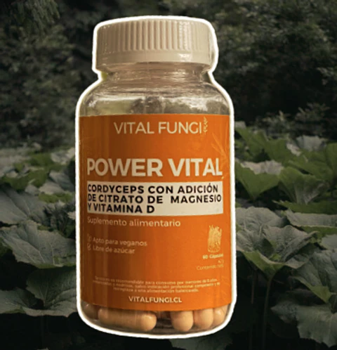 Vital Fungi - Power Vital 60c 