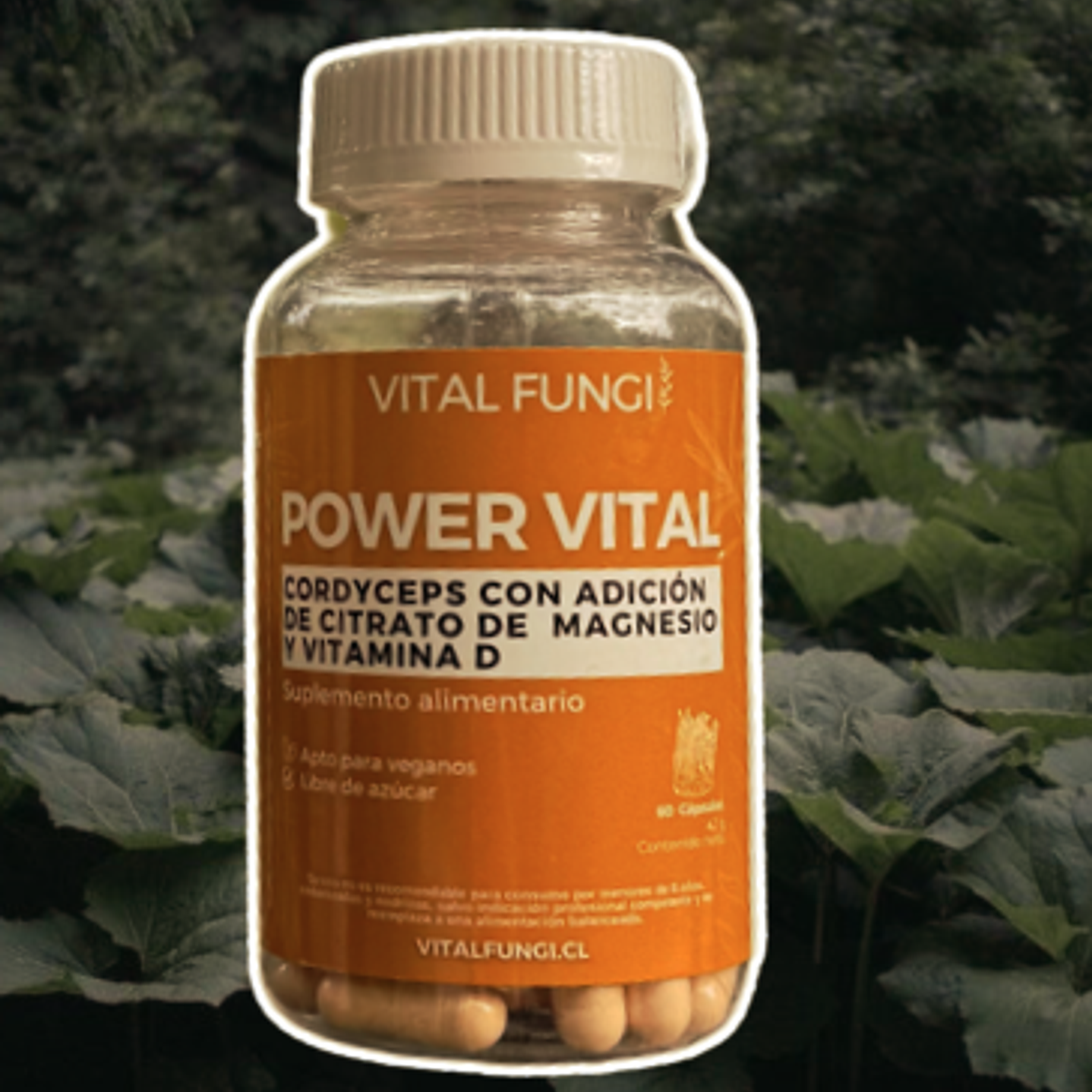 Vital Fungi - Power Vital 60c  1