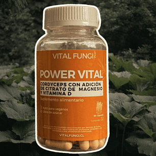 Vital Fungi - Power Vital 60c 