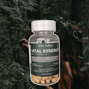 Vital Fungi - Vital Synergy 60c 