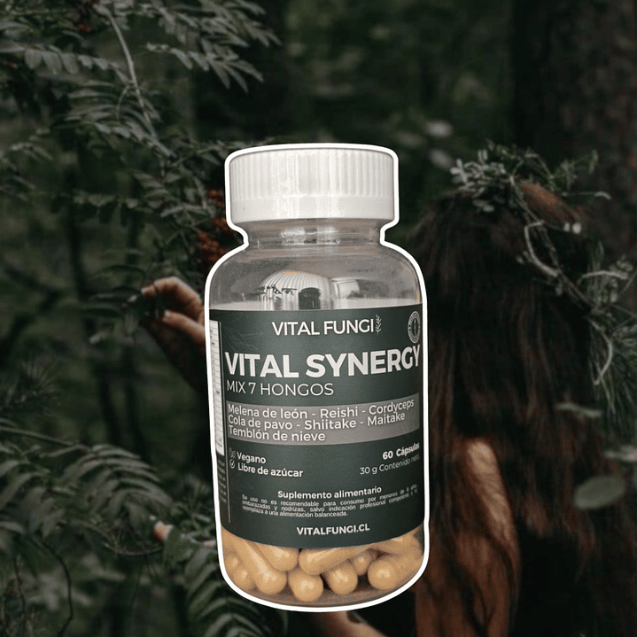 Vital Fungi - Vital Synergy 60c  1