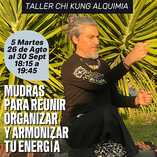  TALLER DE CHI KUNG ALQUIMIA. MUDRAS PARA REUNIR, ORGANIZAR Y ARMONIZAR TU ENERGÍA