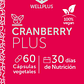 Cranberry  Plus 60 caps Wellplus - Miniatura 2