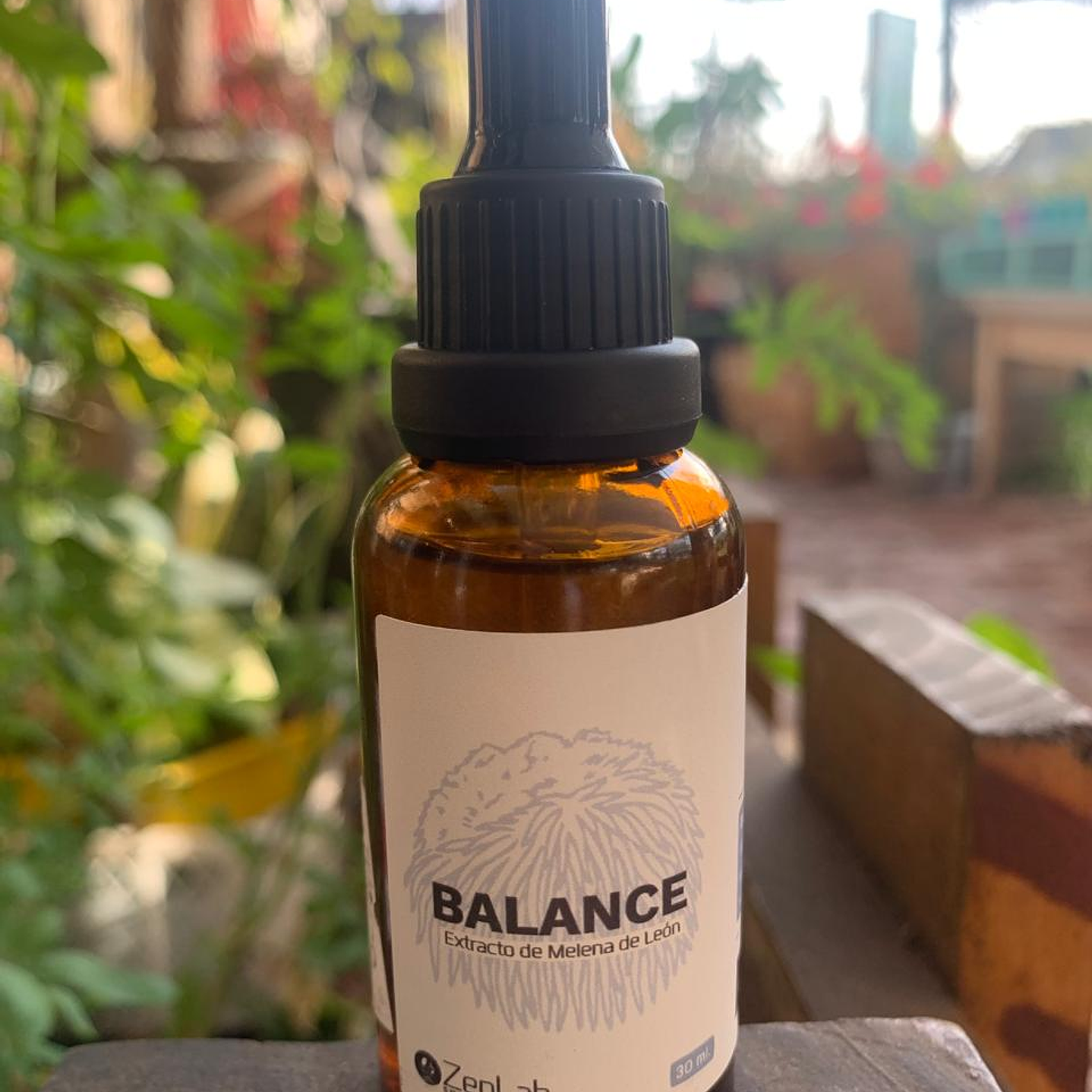 ZenLab - Extracto Melena de Leon 30ml 1