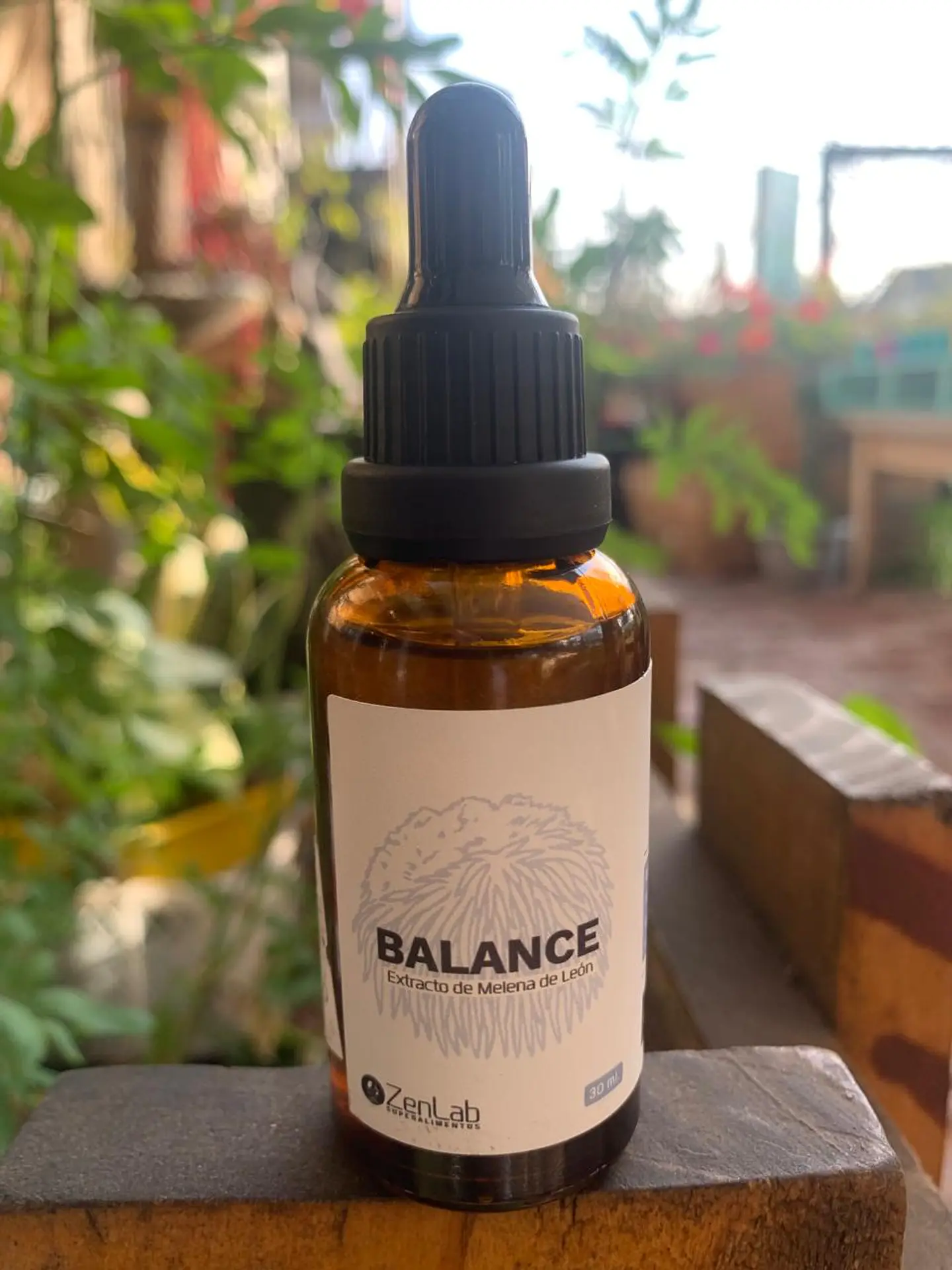 ZenLab - Extracto Melena de Leon 30ml 1