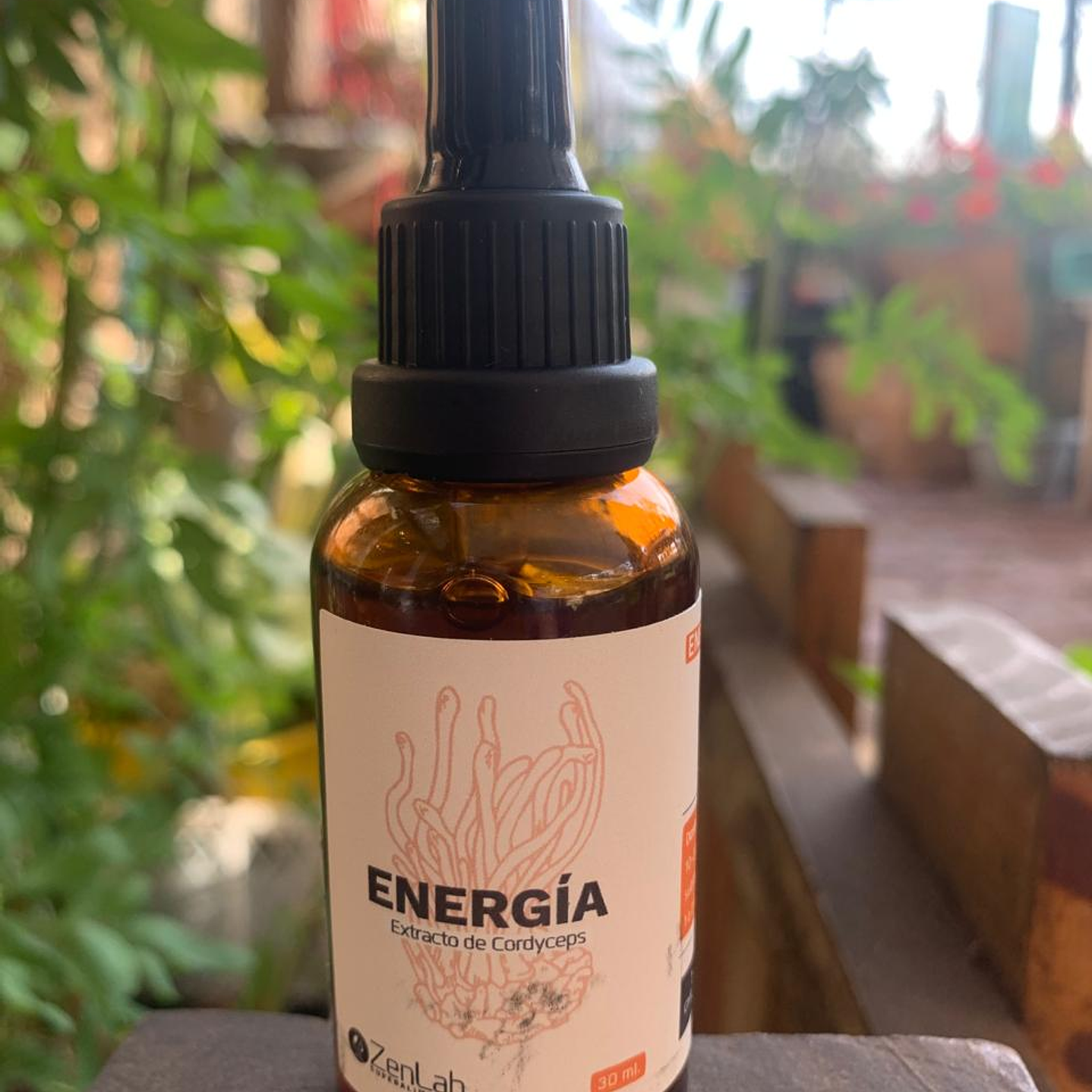 ZenLab - Extracto Cordyceps 30ml 1