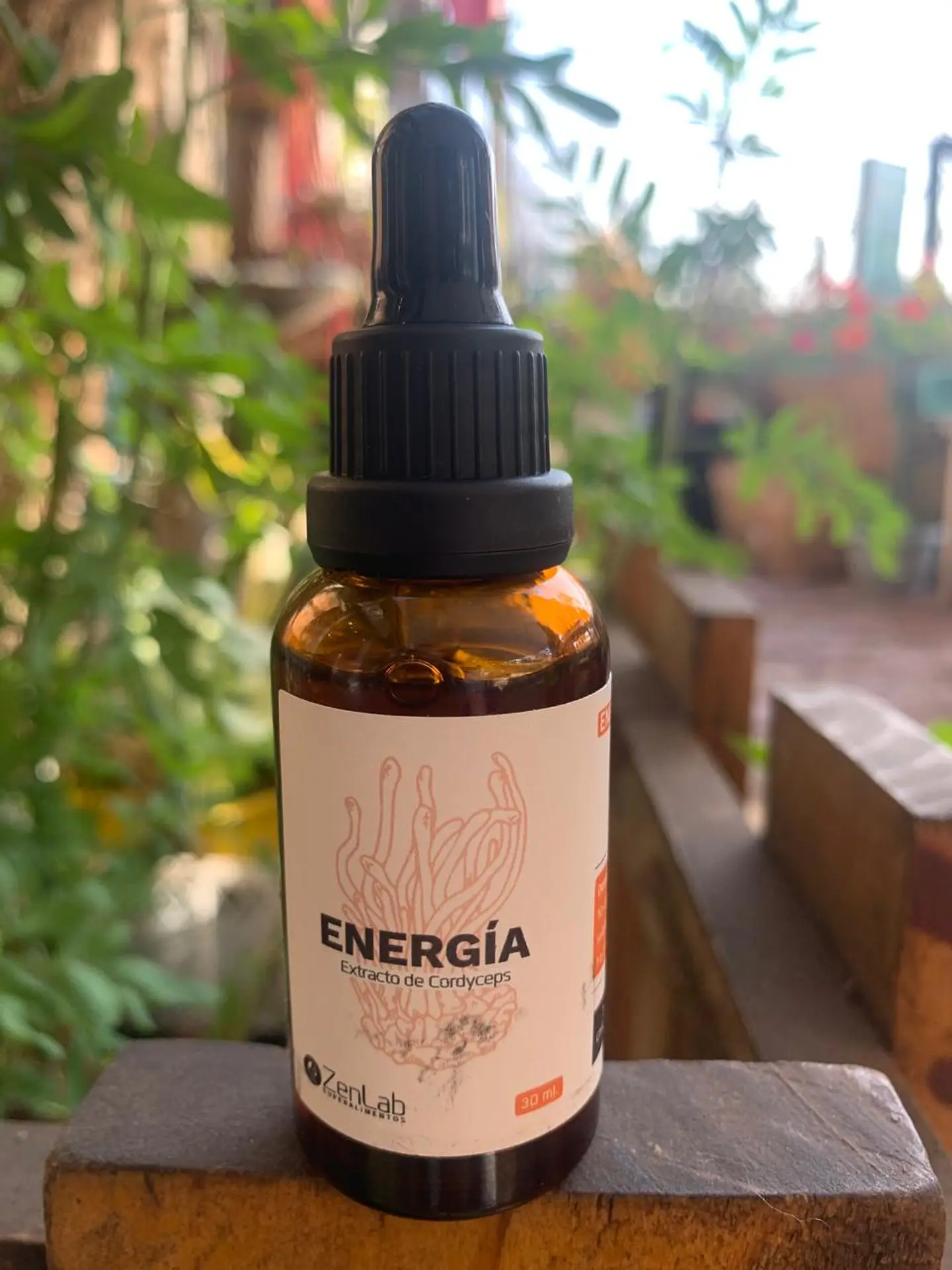 ZenLab - Extracto Cordyceps 30ml 1