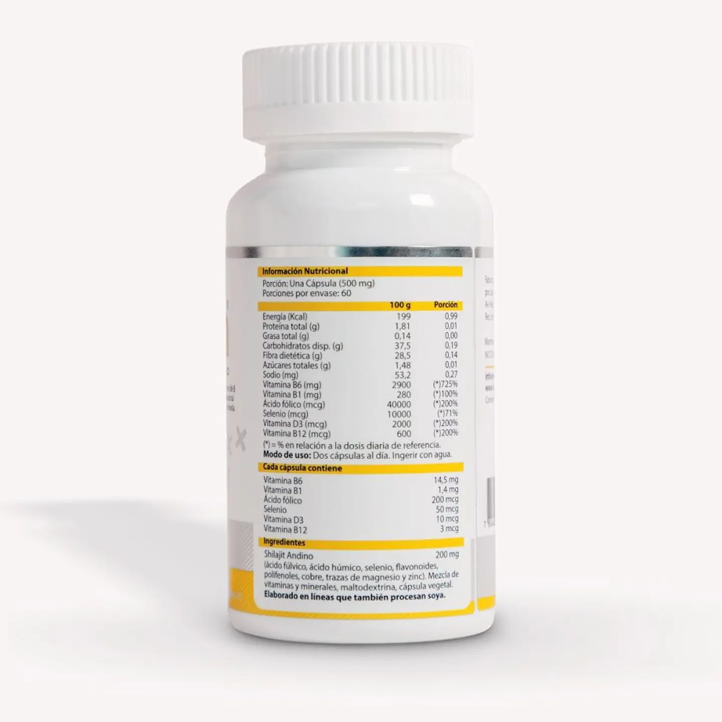 Neuroinnovation - Vida + Brain  2