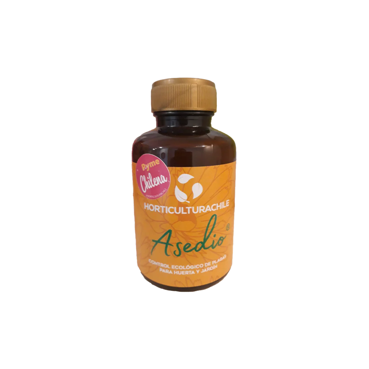 Chicureo Sustentable - Asedio 280cc  1