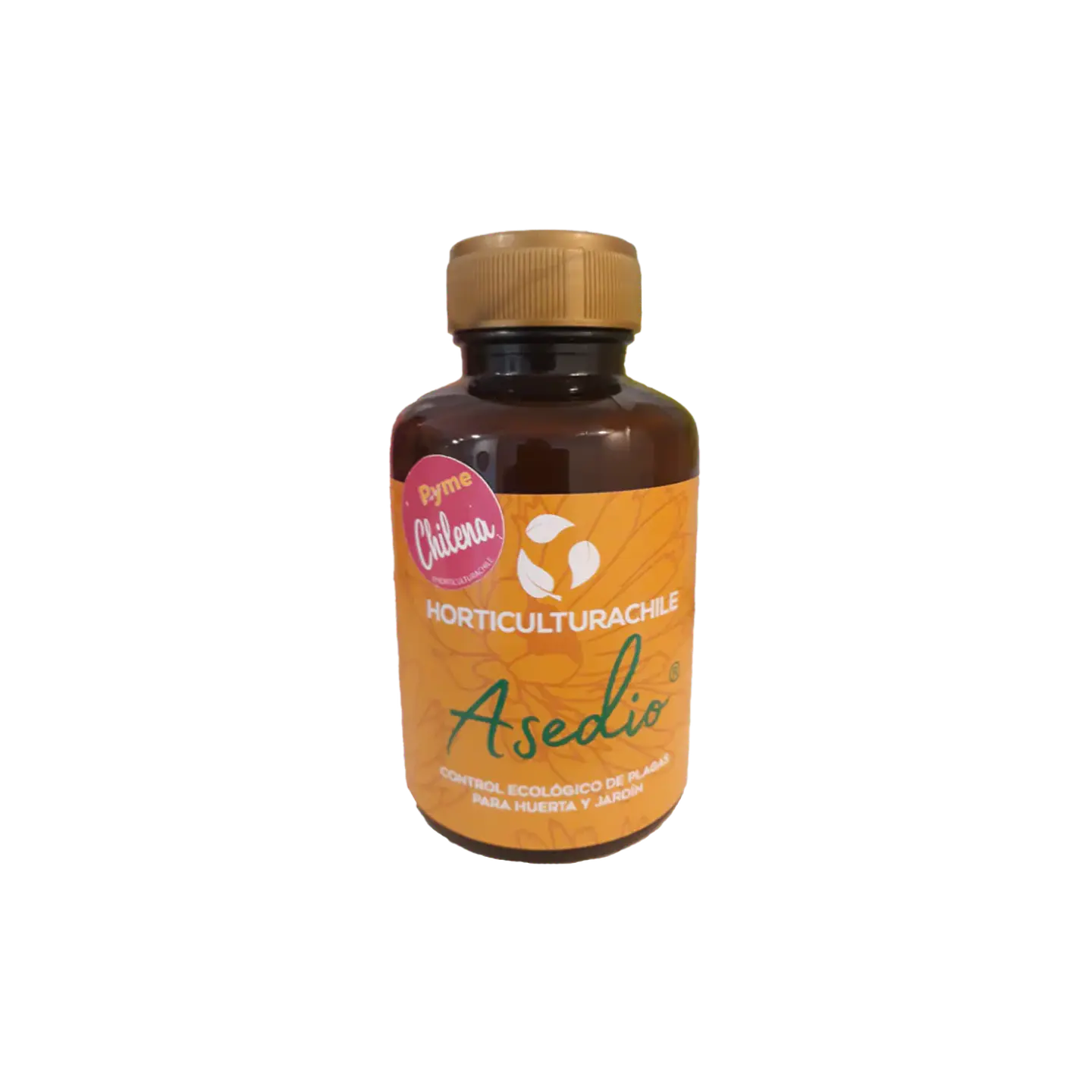 Chicureo Sustentable - Asedio 280cc  1