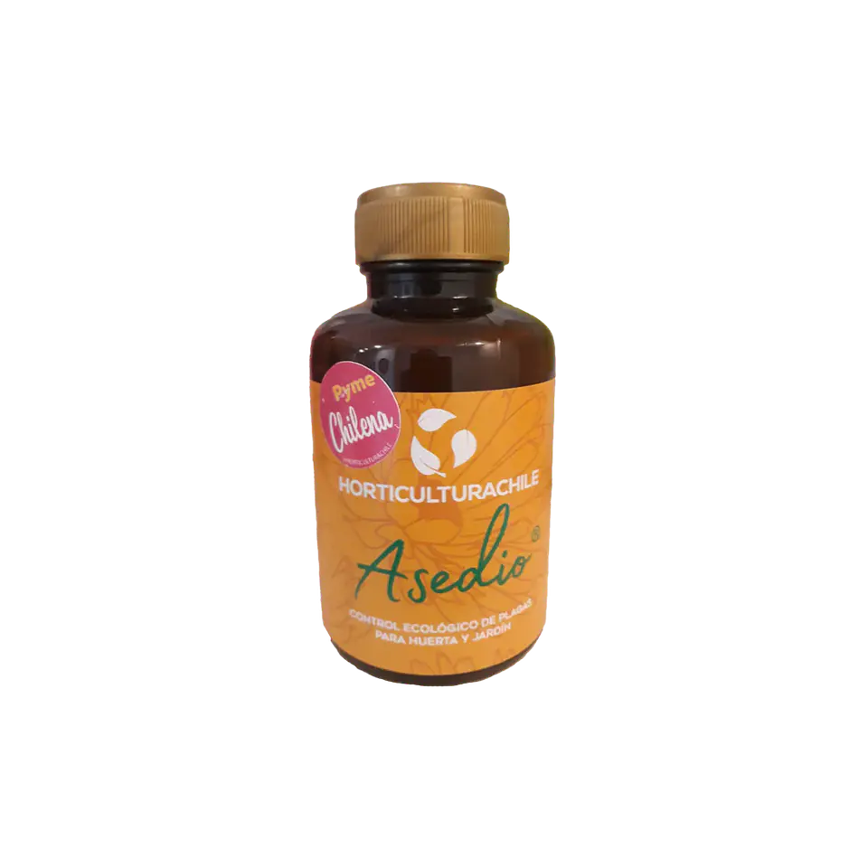 Chicureo Sustentable - Asedio 280cc  1
