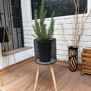 Plantas RV - Romero tamaño L / Retiro en tienda