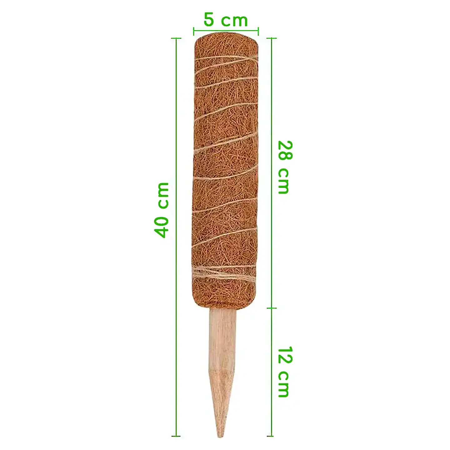 Plantas RV - Tutor Fibra de coco 40cms  2