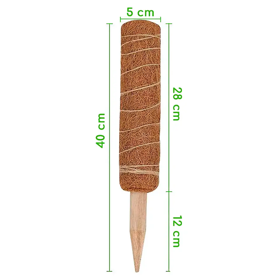 Plantas RV - Tutor Fibra de coco 40cms  2