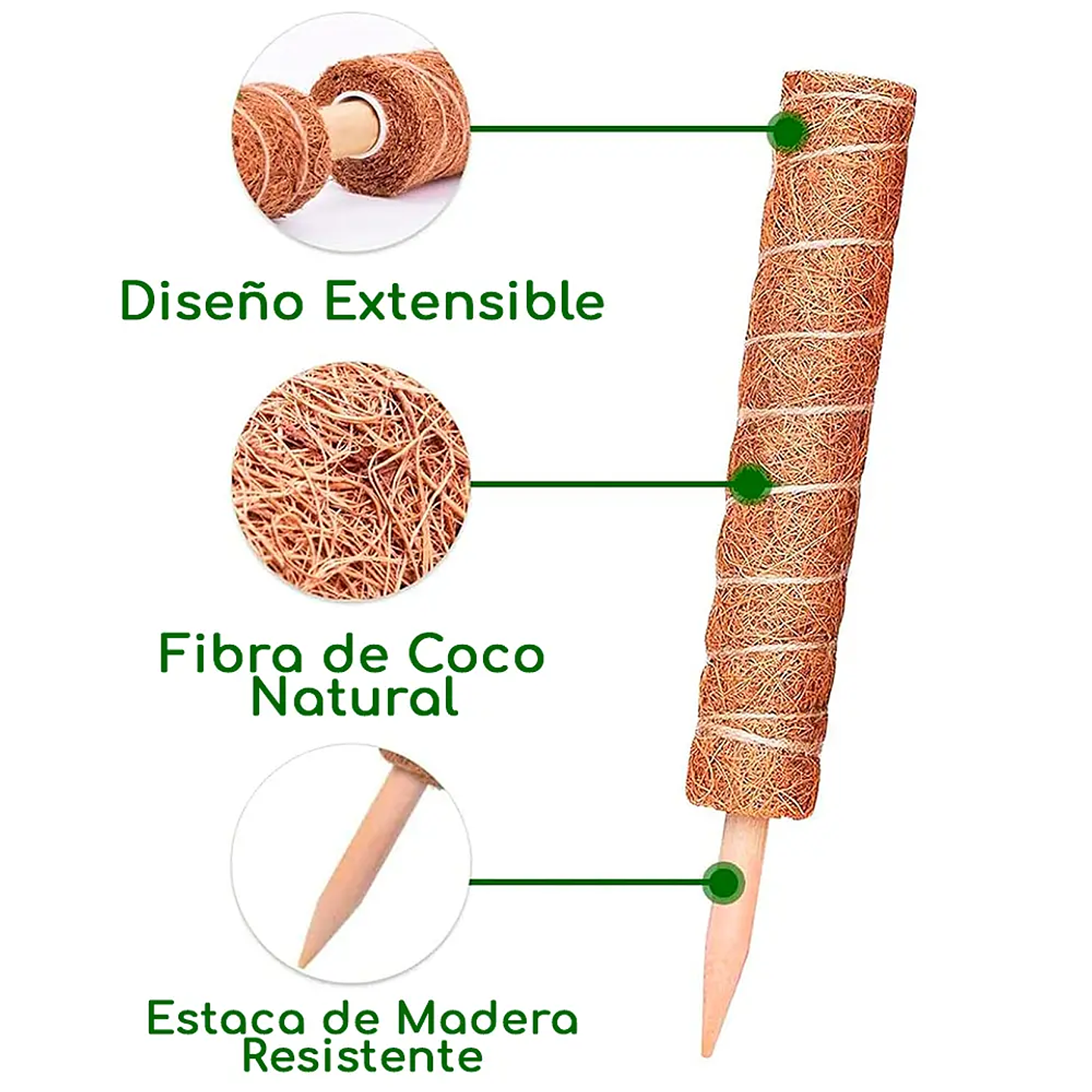 Plantas RV - Tutor Fibra de coco 40cms  4