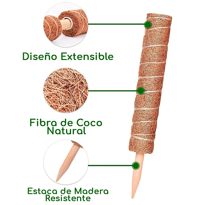 Plantas RV - Tutor Fibra de coco 40cms  4