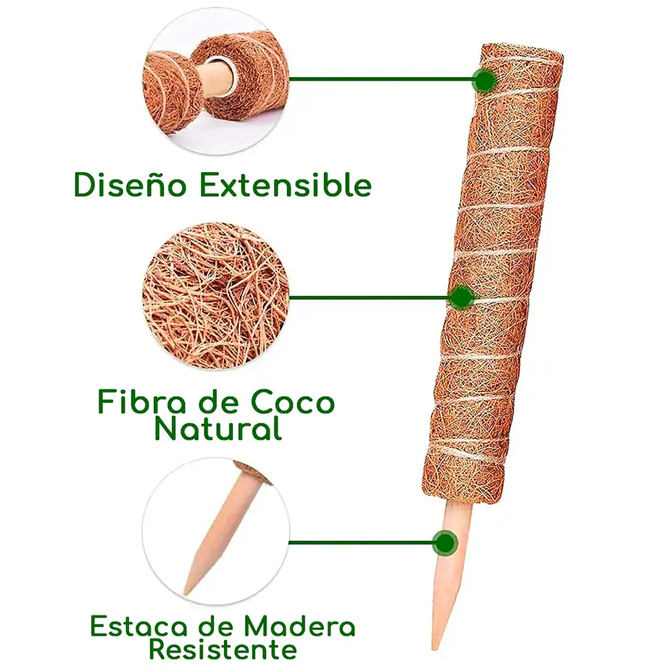 Plantas RV - Tutor Fibra de coco 40cms  4