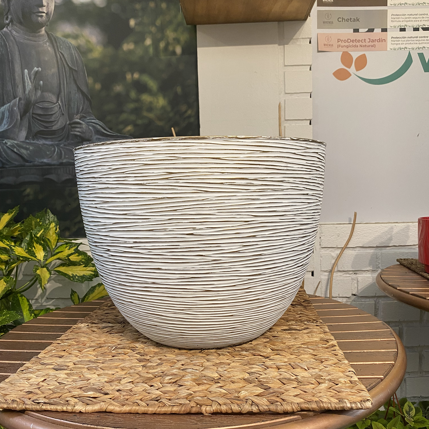 Plantas RV - Macetero Plastico Grafiat tamaño G  1