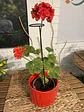 Plantas RV - Tutor Metálico 40cm  - thumbnail 1