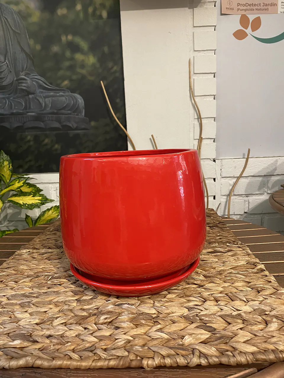 Plantas RV - Porta Maceta Cerámica L 3