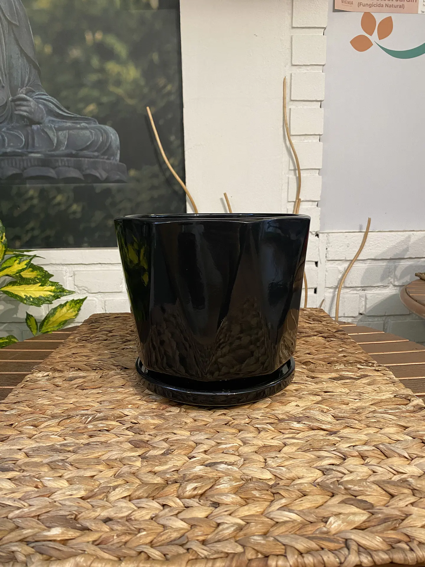 Plantas RV - Porta Maceta Cerámica L 4