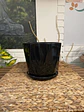 Plantas RV - Porta Maceta Cerámica L - thumbnail 4
