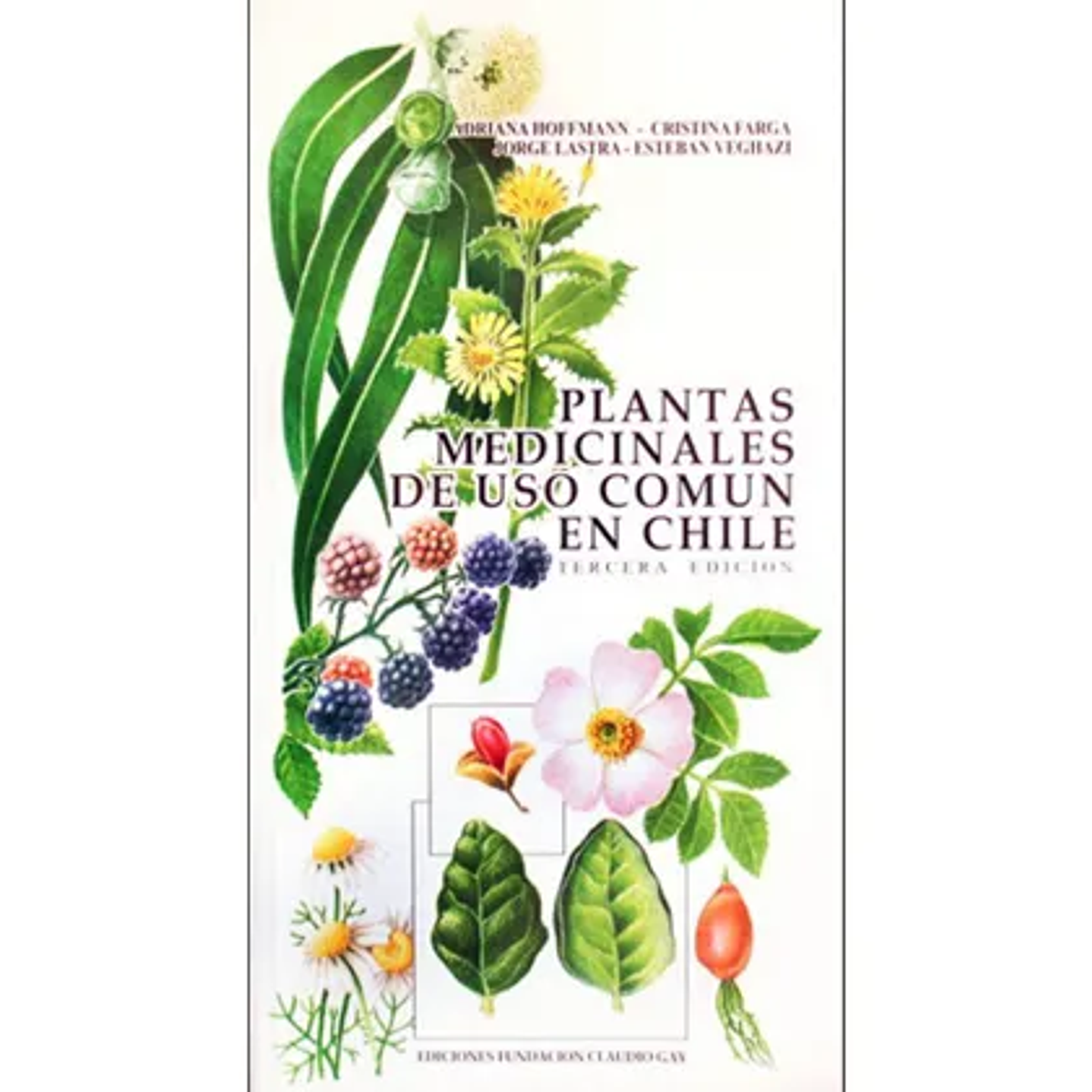 Travel Books - Enciclopedia plantas Medicnales  1
