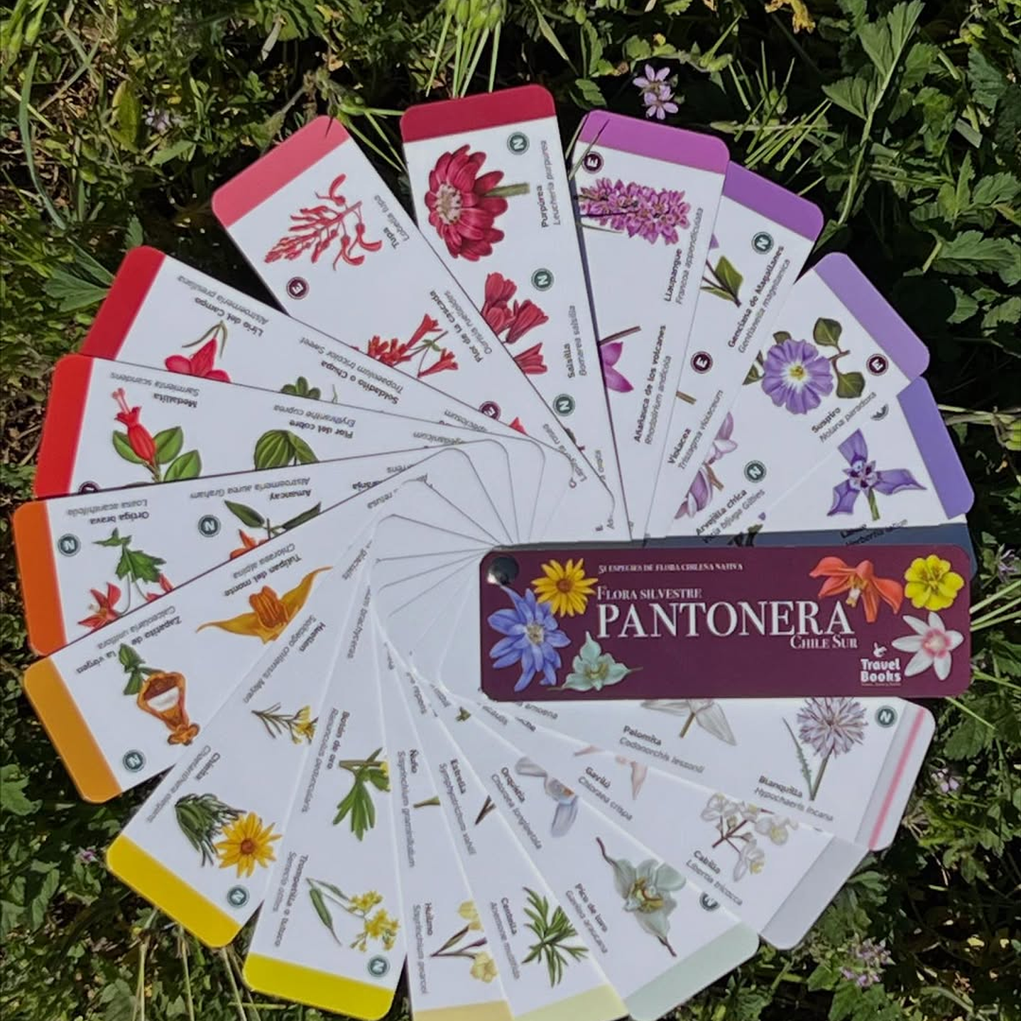 Travel Books - Pantonera Flores silvestres zona Sur  1