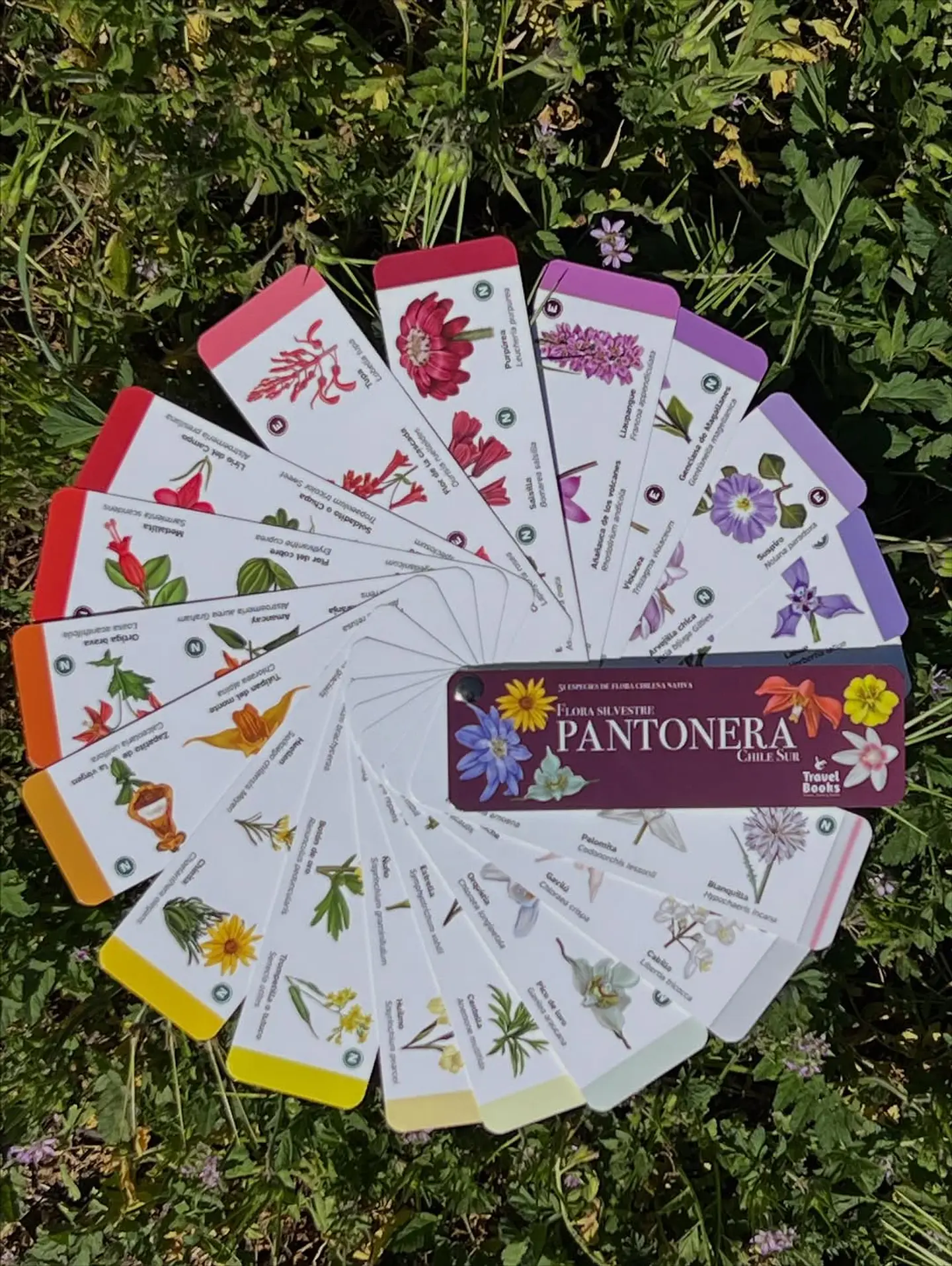 Travel Books - Pantonera Flores silvestres zona Sur  1