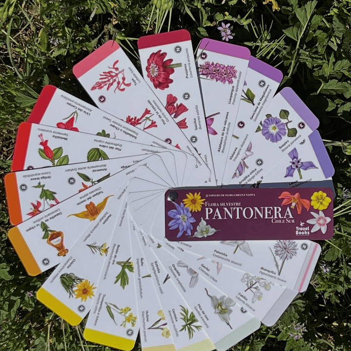 Travel Books - Pantonera Flores silvestres zona Sur  1