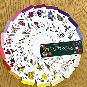 Travel Books - Pantonera Flores silvestres zona central 