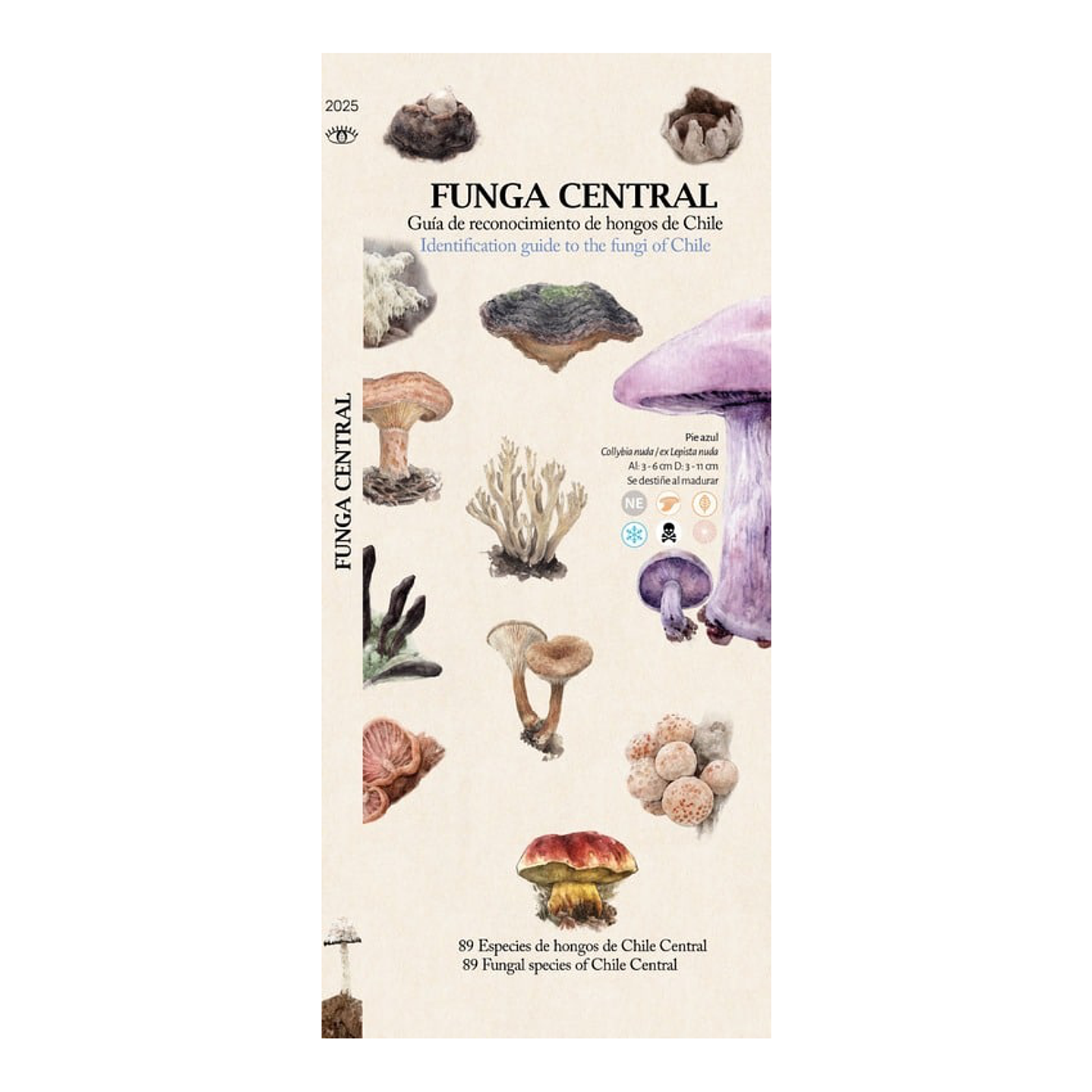 Travel Books - Funga central guia de bolsillo  1