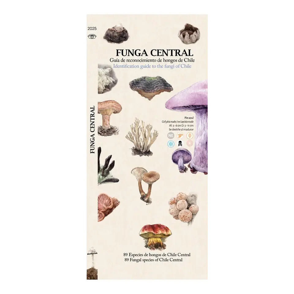 Travel Books - Funga central guia de bolsillo  1