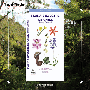 Travel Books - Flora silvestre de Chile central 