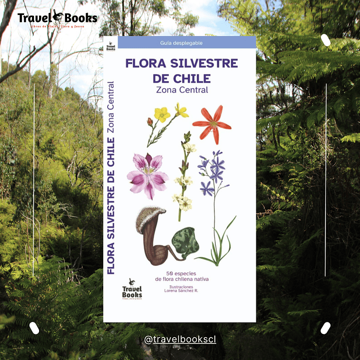 Travel Books - Flora silvestre de Chile central  1