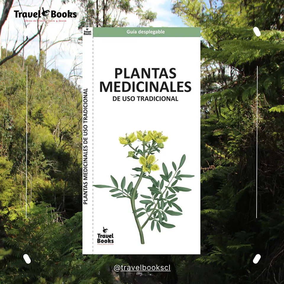 Travel Books - Plantas medicinales de uso tradicional  1