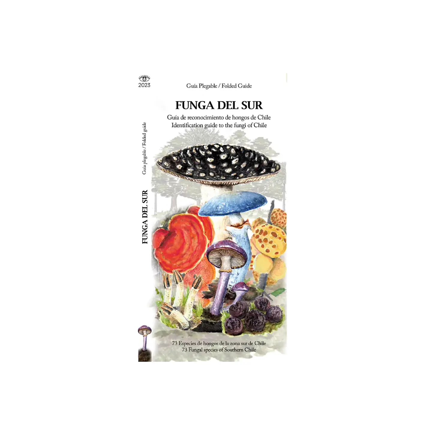 Travel Books - Funga del Sur guia de bolsillo  1