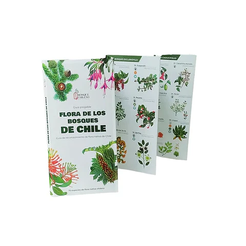 Travel Books - Flora de los Bosques de Chile 
