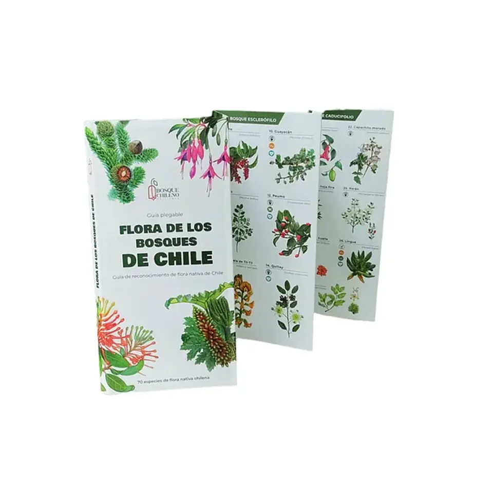 Travel Books - Flora de los Bosques de Chile  1